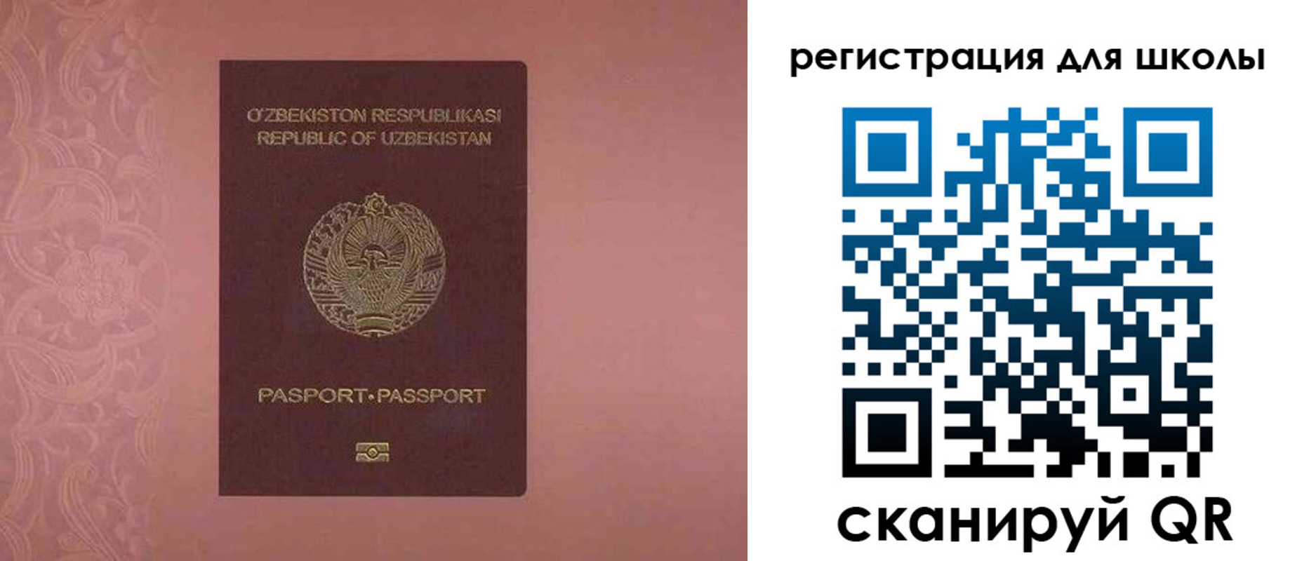 прописка для школы в Краснозаводске