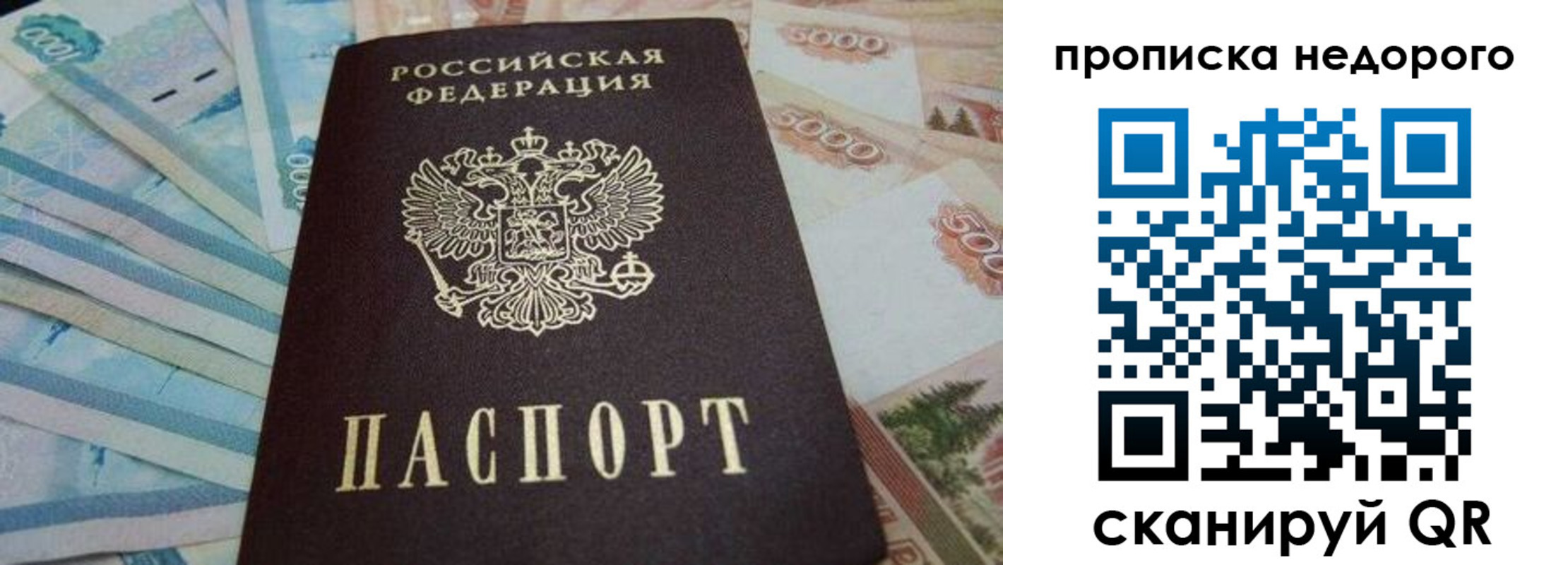 временная регистрация поиск в Краснозаводске